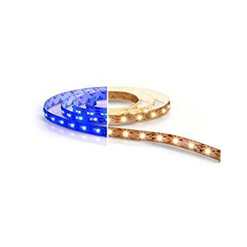 COLOUR MAGIC STRIP (WW + BLUE)